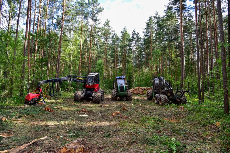 Forestry Clearing in Atlanta, GA